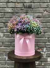 Цветочная композиция из Гипсофила и Розы в шляпной коробке #REPLACE_PRED# Пыталово