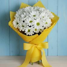 Букет цветов из:  Хризантемы в Пыталово