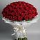 Букет 101 Красная роза Блэк Мэджик в Пыталово