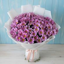 Букет цветов из:  Хризантемы в Пыталово