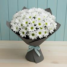 Букет цветов из:  Хризантемы в Пыталово