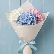 Букет цветов из:  Гортензия в Пыталово