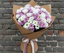 Букет цветов из:  Хризантемы #REPLACE_PRED# Пыталово