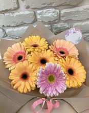 Букет цветов из:  Герберы #REPLACE_PRED# Пыталово