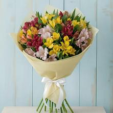 Букет цветов из:  Альстромерии в Пыталово
