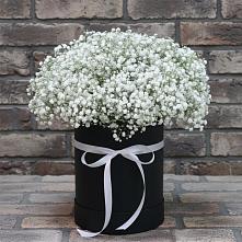 Цветочная композиция из Гипсофила в шляпной коробке #REPLACE_PRED# Пыталово