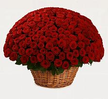 Премиум букет из: Розы в Пыталово