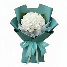 Букет цветов из:  Гортензия #REPLACE_PRED# Пыталово